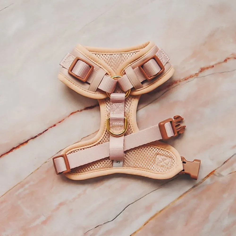 XXS Premium No Pull Dog Harness 2 Leash Clips Beige Leather Neoprene Gold